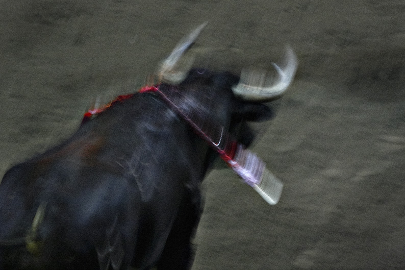 B1 - Bullfight1